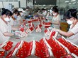 Gần 90% Kl991.com World Cup 2026 Chính Thức mới có vốn đăng ký dưới 10 tỷ đồng