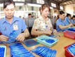 Theo công ty nghiên cứu AC Nielsen Việt Nam, năm 2018 TLG đứng đầu thị trường bút viết trong nước với 60% thị phần