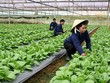 11 dự án Hà Nội kêu gọi Kl99ok phiên bản mới vào lĩnh vực nông nghiệp giai đoạn 2019-2025 bao gồm nhiều dự án nông nghiệp công nghệ cao và các khu giết mổ gia súc tập trung