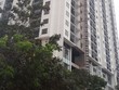 Thị trường thiếu trầm trọng nhà bình dân