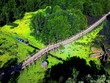 Cầu tre Trà Sư sử dụng trên 500.000 cây tre làm vật liệu để xây dựng
