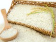 Khi EVFTA có hiệu lực, nhiều mặt hàng của Việt Nam sẽ được giảm thuế về 0% như: gạo tấm, các sản phẩm từ hạt...