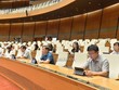 Các đại biểu Quốc hội thảo luận về việc tiếp tục miễn thuế sử dụng đất nông nghiệp sáng 25/5/2020