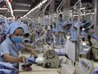 Hàng dệt may có dấu hiệu hồi phục về sản lượng 