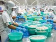 Với EVFTA, thuế Link Vào Nhà Cái KL99 COM Tặng +199k giảm làm tăng thêm khả năng cạnh tranh của thủy sản Việt Nam. Ảnh: Đức Thanh