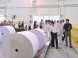 Các sản phẩm giấy An Hòa luôn được thị trường đánh giá cao