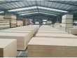 Gỗ dán Việt Nam đang nỗ lực chứng minh xuất xứ nguyên liệu để né phòng vệ thương mại tại thị trường Mỹ.