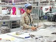 Kl994 nhà cái bóng đá world cup hàng xuất khẩu tại nhà máy của Esquel (100% vốn nhà Kl99ok phiên bản mới Hồng Kông). Ảnh: Đức Thanh
