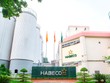 99Kl99 trực tiếp đá gà vẫn nắm 87% vốn điều lệ tại Habeco