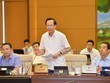 Bộ trưởng Bộ Lao động - Thương binh và Trang Chủ KL99Com Số 1 Link Đăng Ký KL999 Đào Ngọc Dung phát biểu tại phiện họp.