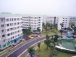 Đề xuất căn hộ giá rẻ không quá 20 triệu đồng/m2: Khó thu hút chủ Kl99ok phiên bản mới