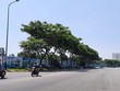 Tổ hợp dịch vụ pháo hoa quốc tế Đà Nẵng tại phường Mỹ An, quận Ngũ Hành Sơn là 1 trong 10 dự án, khu đất được đưa vào kế hoạch đấu giá chuyển quyền sử dụng đất năm 2020 để thu hút Kl99ok phiên bản mới.
