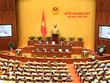 Chiều 12/11/2018, Quốc hội thông qua Nghị quyết phê chuẩn Hiệp định CPTPP cùng các văn kiện liên quan với 100% đại biểu tán thành