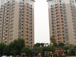Hóa giải lỗi phong thủy của căn hộ chung cư