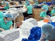Xuất khẩu tiếp tục bị ảnh hưởng bởi Covid-19, xuất siêu tăng lên 6,5 tỷ USD