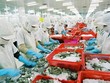 Standard Chartered hạ dự báo tăng trưởng GDP năm 2023 của Việt Nam xuống 6,5%