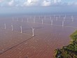 Hiện có 9 dự án điện gió nối lưới với tổng công suất khoảng 440 MW đang vận hành. Ảnh: Đức Thanh
