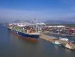 Tàu CMA CGM Marco Polo trọng tải 187,000DWT sức chở gần 17,000TEU cập cảng CMIT hàng tuần