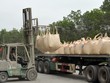 7 tháng 2020, ngành xi măng xuất khẩu 19,5 triệu tấn, trị giá 732 triệu USD.