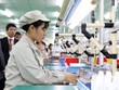 Kl992 cổng game cá cược 2024: Không thể chậm trễ, không để "tháng Giêng là tháng ăn chơi"