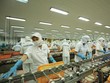 Lĩnh vực chế biến thủy sản được các nhà Kl99ok phiên bản mới Nhật Bản rất quan tâm tìm đối tác M&A. Ảnh: Đức Thanh