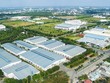 Dọn đất đón sóng Kl99ok phiên bản mới mới