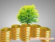 Mỗi ngày có 223 DN địa ốc thành lập mới: Web Tổng Nhà Cái 99Kl99 Giải Trí Bậc Nhất sắp có sóng?