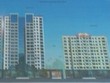 Chân đế 2 tòa nhà cách nhau 2m, thân cách nhau 10m