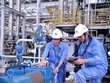 Nhà máy Đạm Cà Mau đã vận hành ổn định, an toàn sau khi tăng công suất ở mức 110%
