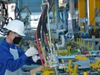 ICAEW: Tăng trưởng GDP của Việt Nam năm 2018 sẽ đạt 6,6%