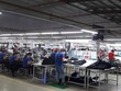 TNG báo lãi 81,2 tỷ đồng trong quý III, tăng 28% so với cùng kỳ