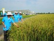 Lộc Trời chuyển biến mạnh trong quản trị hệ thống, phản ảnh dần vào hoạt động