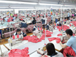 May Sông Hồng (MSH): Đơn hàng kín đến tháng 7, tổ chức đại hội Trang Chủ KL99Com Số 1 Link Đăng Ký KL999 trực tuyến
