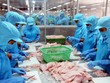 Vĩnh Hoàn (VHC): Kl99 nổ hũ quý I giảm 51%