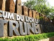 Về Buôn Ma Thuột, ghé thăm hai làng cà phê nổi tiếng