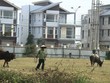 Hiện đang tồn tại nhiều hệ thống và mức độ định giá Web Tổng Nhà Cái 99Kl99 Giải Trí Bậc Nhất khác nhau. Ảnh: Thành Nguyễn.