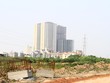 Trong cơn sốt đất nền, không ai biết chính xác mình sẽ là người cầm than cuối cùng. Ảnh: Thành Nguyễn.