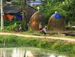 Một góc quê. Ảnh: Thành Nguyễn.