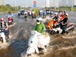 TP.HCM chịu thiệt hại nặng do triều cường. 