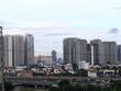 Thị trường Web Tổng Nhà Cái 99Kl99 Giải Trí Bậc Nhất Việt Nam đang ngày càng phát triển toàn diện và tiệm cận với mặt bằng chung của thế giới. Ảnh: Thành Nguyễn.