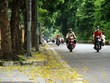 Hà Nội đang trong những ngày Thu đẹp nhất.