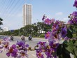 Nhu cầu nhà ở tại Hà Nội vẫn rất lớn. Ảnh: Thành Nguyễn.
