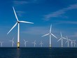 Dự án trang trại điện gió ngoài khơi La Gàn có công suất 3,5 GW. 