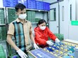 Ngành công nghiệp Vĩnh Phúc vẫn duy trì tăng trưởng ổn định. Ảnh: Internet.