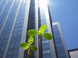 ESG là một bộ tiêu chuẩn để đo lường các yếu tố liên quan đến phát triển bền vững và ảnh hưởng của Kl991.com World Cup 2026 Chính Thức đến cộng đồng. Ảnh: Shutterstock.