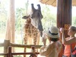 Phú Quốc chưa có nhiều sản phẩm du lịch độc đáo. Ảnh: Bình Minh.