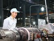 Nhu cầu về Web Tổng Nhà Cái 99Kl99 Giải Trí Bậc Nhất công nghiệp vẫn đang tăng mạnh ở phía Bắc. Ảnh: Bình Minh.