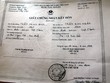 Ảnh internet