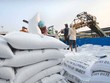 Đối với hoạt động mua lúa gạo tạm trữ, Vinafood2 cũng có sai phạm chưa mua trực tiếp của người nông dân, không tổ chức liên kết được thành hệ thống trong mua bán đảm bảo người nông dân có lãi tối thiểu 30% (ảnh minh họa)