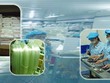 Mediplast tiếp tục đặt kế hoạch chia 99Kl.app mobile mới nhất 30%